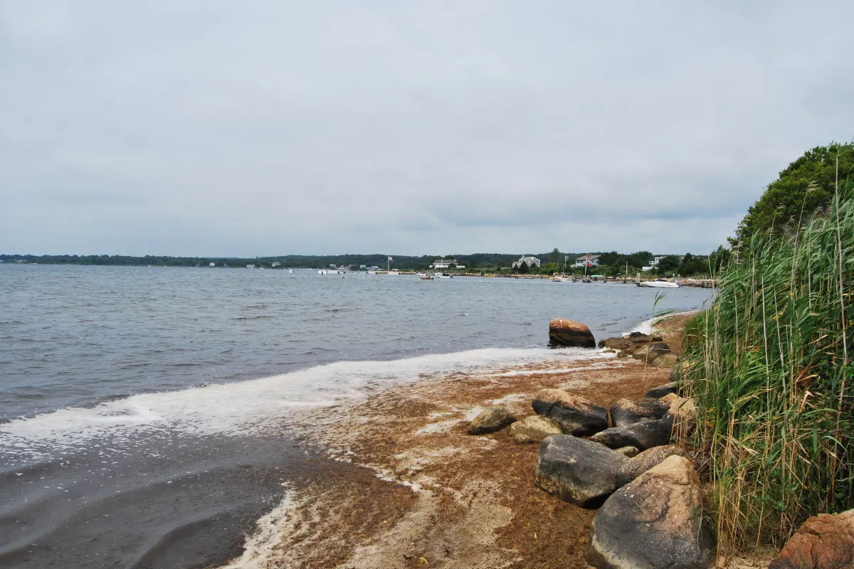 Ninigret Pond seen from its north shore